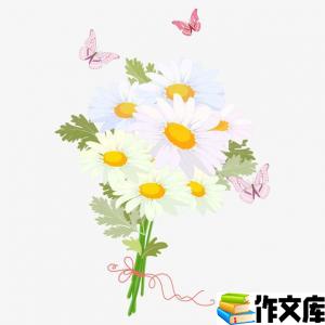 美丽的菊花