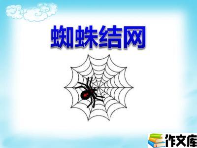 蜘蛛织网
