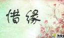 珍惜缘分才是随缘500字