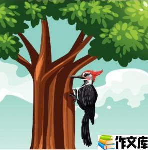 啄木鸟治病