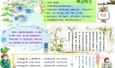 廉政文化电子手抄报