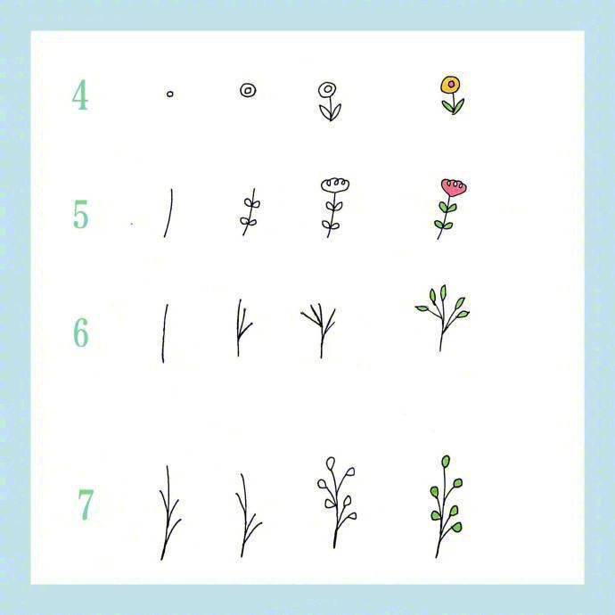 24种花草植物的画法，点亮你的手抄报