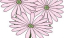 黑板报花朵类精美插图24