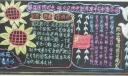 社区国防黑板报