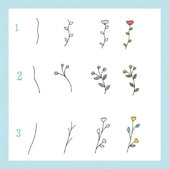 24种花草植物的画法，点亮你的手抄报