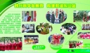 收费站学习实践科学发展观活动板报