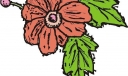 第十七组黑板报植物类插图（共十张）