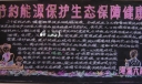 节约能源保护生态保持平衡黑板报