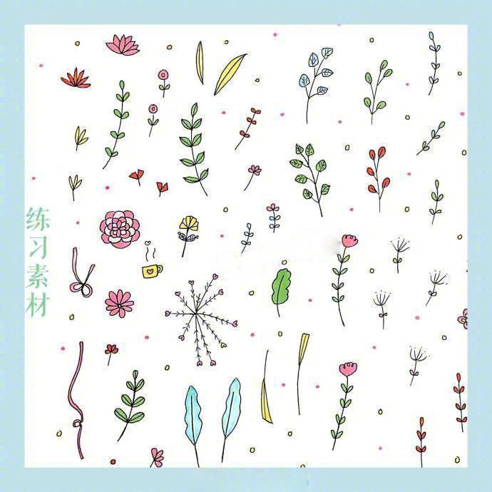 24种花草植物的画法，点亮你的手抄报