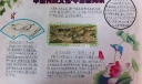 中国画知识手抄报