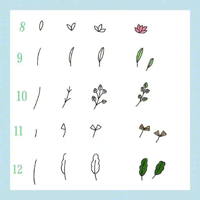 24种花草植物的画法，点亮你的手抄报