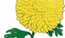 黑板报花类插图第四组：共六张