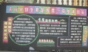 5.29会员活动日黑板报作品
