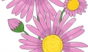 向日葵插图