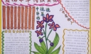 弘扬中华传统美德手抄报