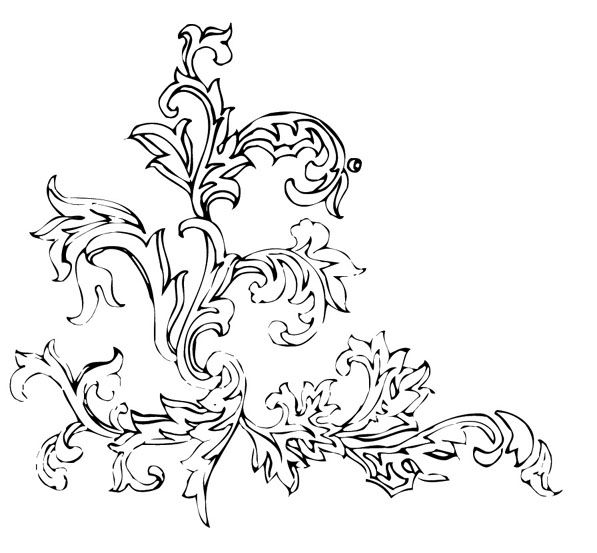 黑白花草插画第一组