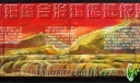 加强综合整理促进依法治校专题黑板报设计
