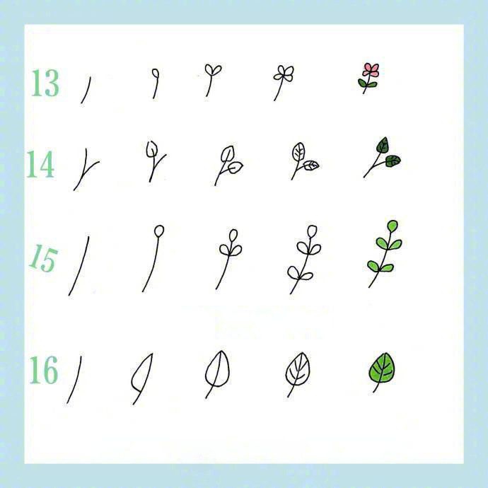 24种花草植物的画法，点亮你的手抄报