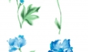 花朵素材大全
