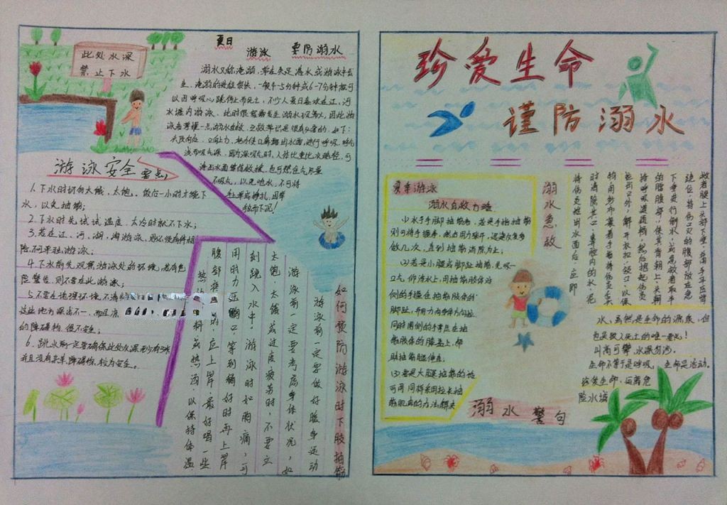 生命的启示手抄报