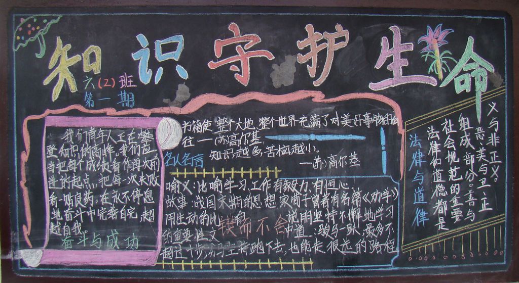 知识守护生命板报高清大图