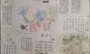 田园诗词手抄报版面设计图