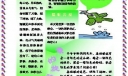 小学生电脑报：第二课堂专刊