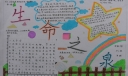 保护生命之泉手抄报