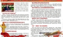 学习十八大电子报
