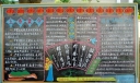五条禁令黑板报