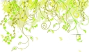 藤蔓花边_绿色藤蔓边框_藤蔓插图