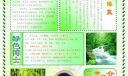 小学生电脑报设计：四季物语