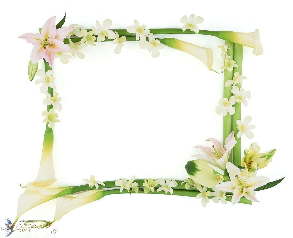 由鲜花组成的边框设计图