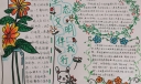 生态文明伴我行手抄报图片