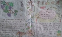 我爱水果手抄报图片