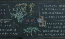 牵手规则手抄报图片