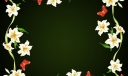 花卉边框59