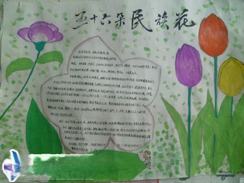 五十六朵民族花手抄报版面设计图 五十六朵民族花手抄报版面设计图