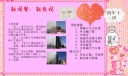 新观察新发现手抄报