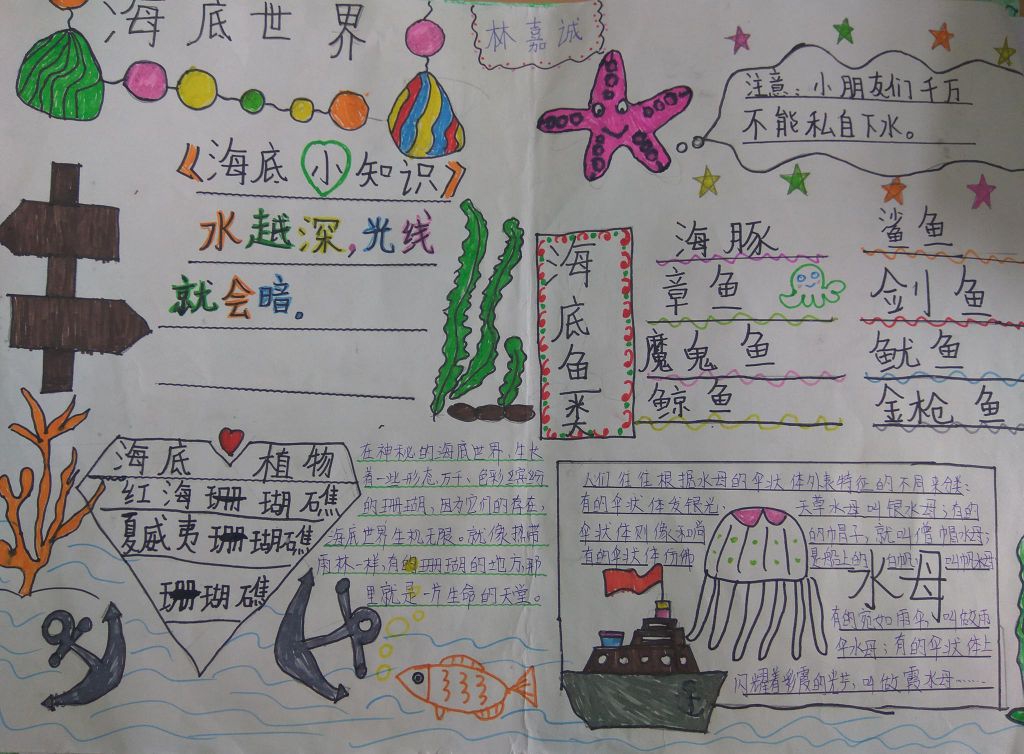 海底世界手抄报，保护蓝色海洋