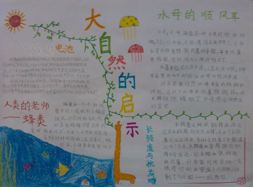 奇趣大自然手抄报图片