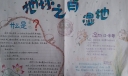 地球之肾湿地手抄报