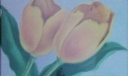 粉笔画之茶花与郁金香