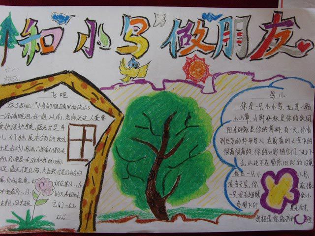 爱护鸟类手抄报-和小鸟做朋友 爱护鸟类手抄报-和小鸟做朋友