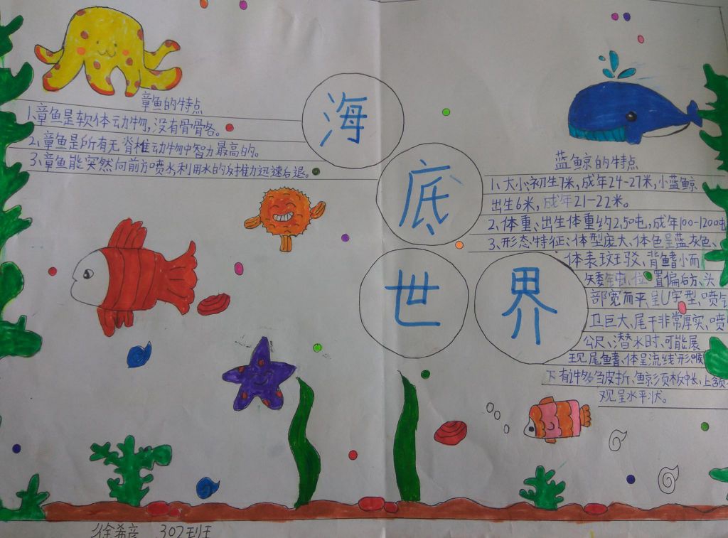 海底世界手抄报，保护蓝色海洋