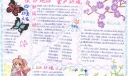 保护地球爱护环境手抄报