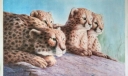 猎豹妈妈和他的孩子们粉笔画作品