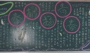 歌颂青春黑板报图片