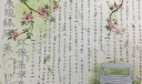 展现绿色风采，环保系未来手抄报