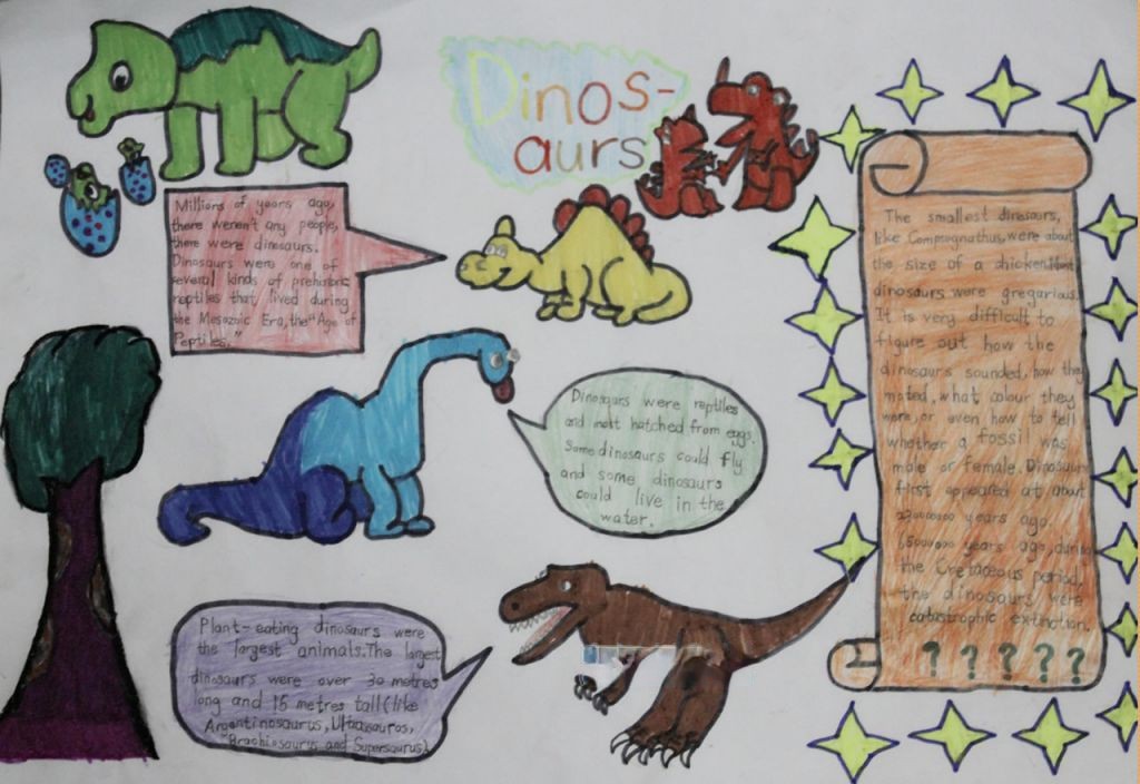 自然博物馆手抄报